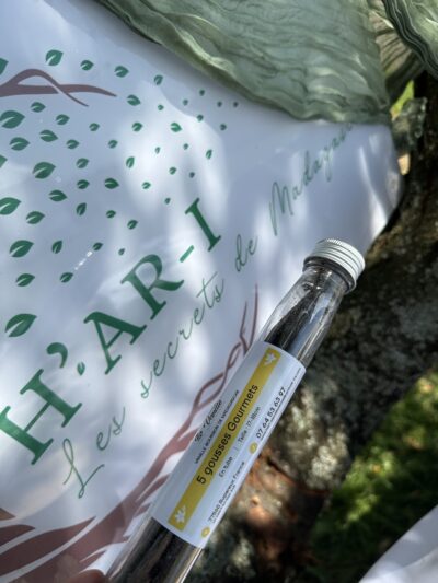 Lot de 5 gousses Gourmets – taille 17-18cm